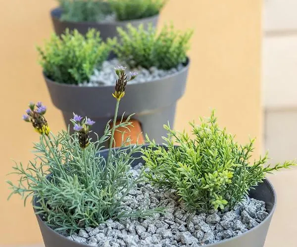 Luxury & Stella Maris Σπλιτ