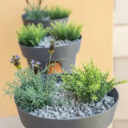 Luxury Room&studio Stella Maris Spalato