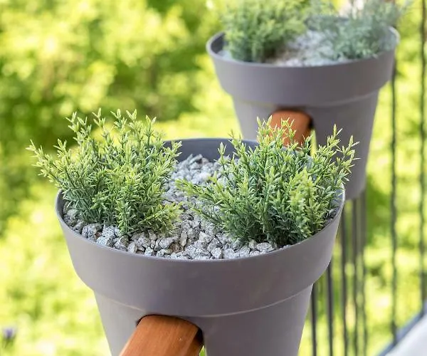 Luxury & Stella Maris * Split