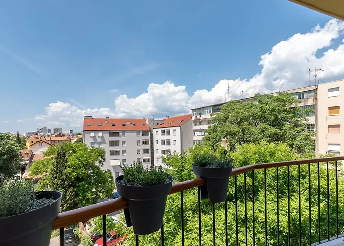 Luxury & Stella Maris *